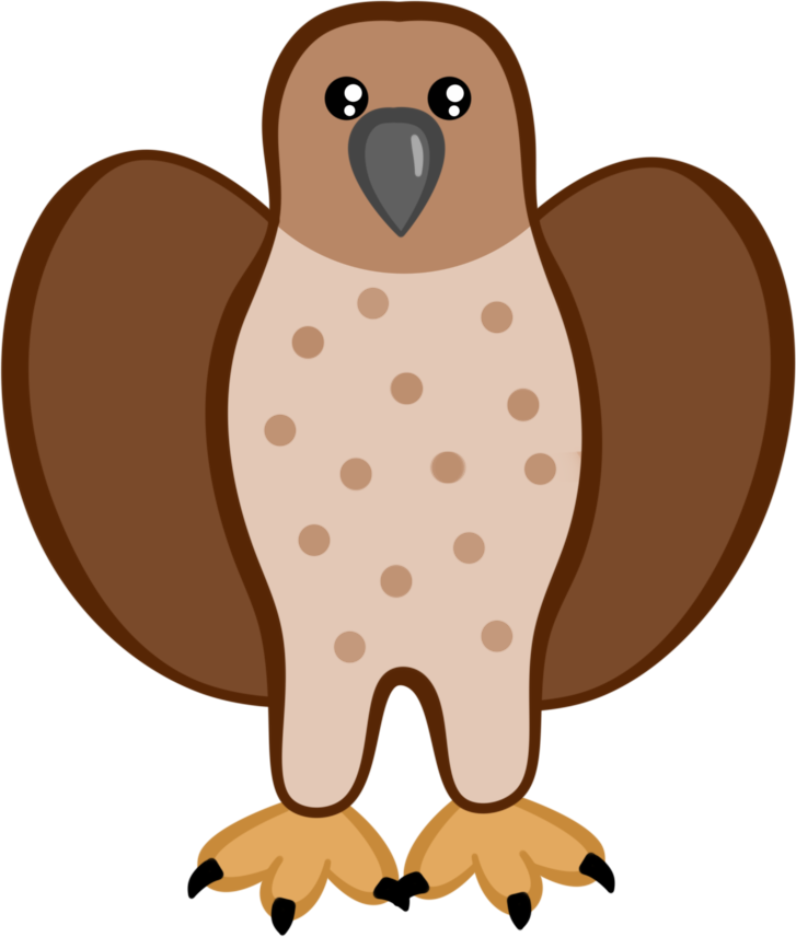 Day 042 - Hawk.png